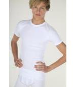 Witte t-shirt extra grote maten van het merk beeren